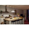 LED E27 15,5 Watt 2200 - 6500 Kelvin 1100 Lumen Philips Hue White