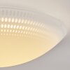 Plafonnier Worben LED Blanc, 1 lumière