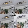 Plafonnier Taleta LED Noir, Blanc, 1 lumière