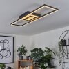 Plafonnier Taleta LED Noir, Blanc, 1 lumière