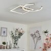 Plafonnier Frederick LED Argenté, Blanc, 1 lumière