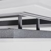 Plafonnier Kolo LED Noir, Blanc, 1 lumière