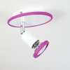 Plafonnier Cabri LED Chrome, Lila, Blanc, 1 lumière Plafonnier Cabri LED Chrome, Lila, Blanc, 1 lumière