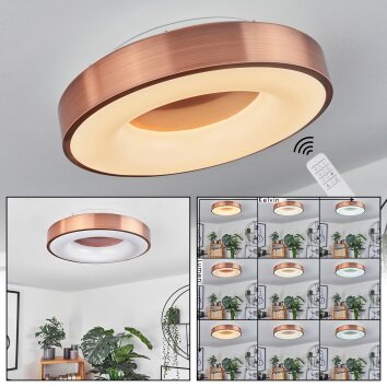 Plafonnier Sachseln LED Blanc, 1 lumière