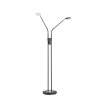 Lampadaire Fischer & Honsel Dent LED Noir, 2 lumières