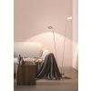 Lampadaire Fischer & Honsel Dent LED Nickel mat, 2 lumières