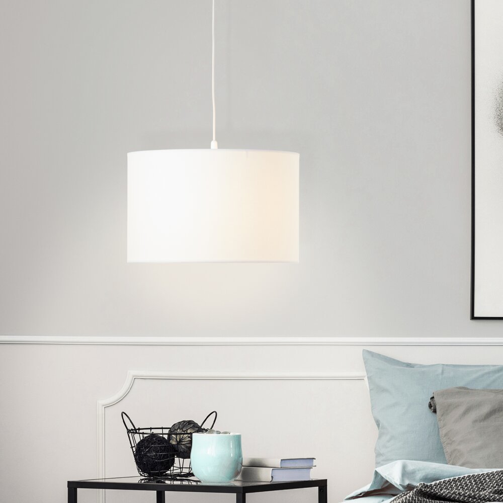 Suspension Brilliant Esher Argenté, 1 lumière main product photo