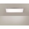 Plafonnier Paul Neuhaus FRAMELESS LED Blanc, 1 lumière, Télécommandes, Changeur de couleurs