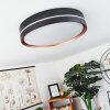 Plafonnier Cachalot LED Cuivre, Noir, 1 lumière, Télécommandes, Changeur de couleurs