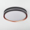 Plafonnier Cachalot LED Cuivre, Noir, 1 lumière, Télécommandes, Changeur de couleurs