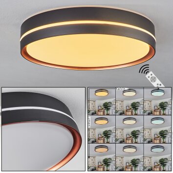Plafonnier Cachalot LED Cuivre, Noir, 1 lumière, Télécommandes, Changeur de couleurs