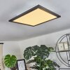 Plafonnier Wilderswil LED Blanc, 1 lumière