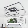 Plafonnier Lithgow LED Noir, 2 lumières, Télécommandes, Changeur de couleurs