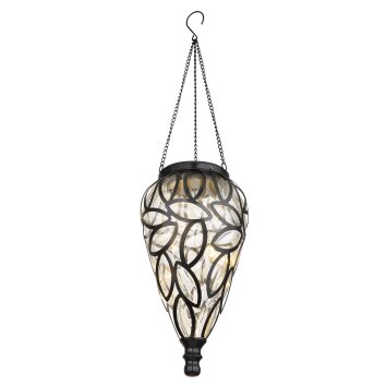 lampe solaire Globo LED Transparent, 15 lumières