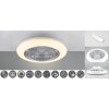 Ventilateur Reality Stralsund LED Titane, 1 lumière, Télécommandes