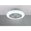 Ventilateur Reality Stralsund LED Titane, 1 lumière, Télécommandes
