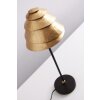 Lampe de table Holländer SNAIL ONE Brun doré, 1 lumière