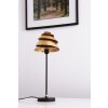 Lampe de table Holländer SNAIL ONE Brun doré, 1 lumière