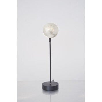 Lampe de table Holländer PICCOLA NAUTILO Noir, Argenté, 1 lumière