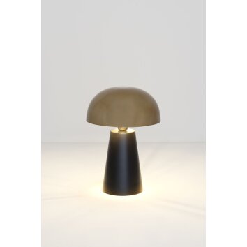 Lampe de table Holländer FUNGO Or, Noir, 1 lumière
