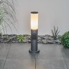 Borne lumineuse Caserta Anthracite, 1 lumière