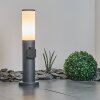 Borne lumineuse Caserta Anthracite, 1 lumière