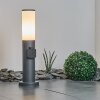 Borne lumineuse Caserta Anthracite, 1 lumière