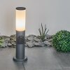 Borne lumineuse Caserta Anthracite, 1 lumière