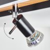 Plafonnier Deadwood LED Noir, Blanc, 5 lumières