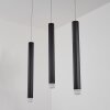 Suspension Freshwater LED Noir, 3 lumières