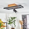 Plafonnier Deadwood LED Noir, Blanc, 2 lumières
