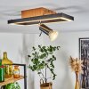 Plafonnier Deadwood LED Noir, Blanc, 2 lumières
