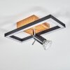 Plafonnier Deadwood LED Noir, Blanc, 2 lumières