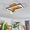 Plafonnier Deadwood LED Noir, Blanc, 2 lumières