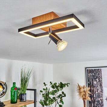 Plafonnier Deadwood LED Noir, Blanc, 2 lumières