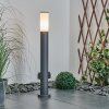 Borne lumineuse Caserta Anthracite, 1 lumière