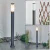 Borne lumineuse Caserta Anthracite, 1 lumière