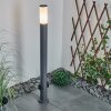 Borne lumineuse Caserta Anthracite, 1 lumière