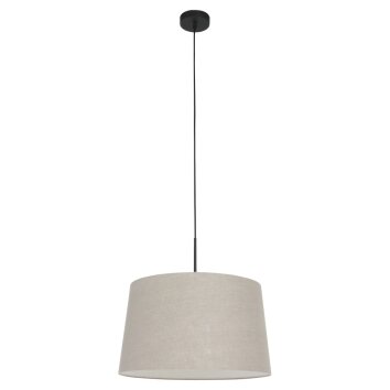 Suspension Steinhauer Sparkled Light Noir, 1 lumière