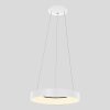 Suspension Steinhauer Ringlede Blanc, 1 lumière