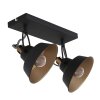 Plafonnier Steinhauer Nové Or, Noir, 2 lumières