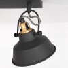 Plafonnier Steinhauer Nové Or, Noir, 2 lumières