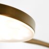 Lampadaire Steinhauer Platu LED Bronze, 1 lumière