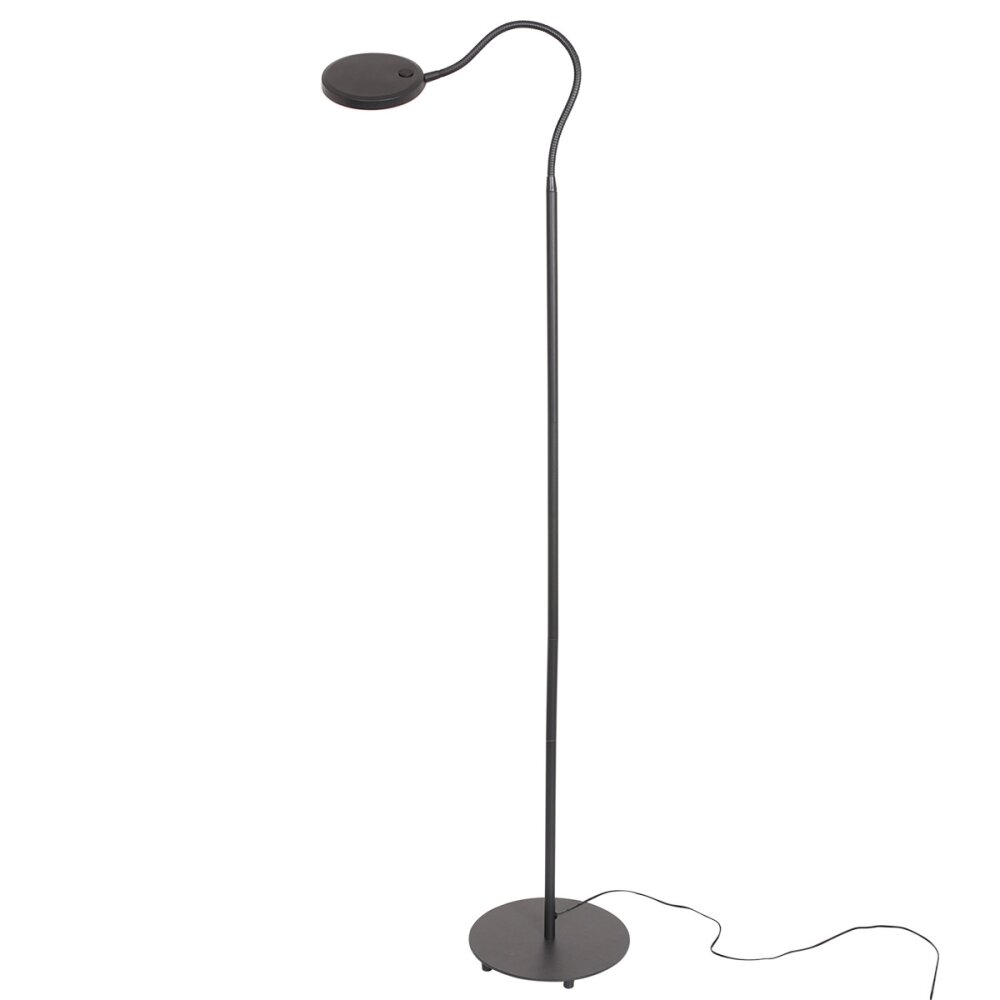 Lampadaire Steinhauer Platu LED Noir, 1 lumière main product photo
