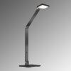 Lampe de table Fischer & Honsel Rike LED Noir, 1 lumière