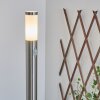 Borne lumineuse Sessa Nickel mat, 1 lumière, Détecteur de mouvement