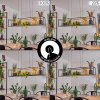 Suspension Ranquile LED Noir, 4 lumières