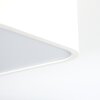 Plafonnier Iriondo LED Blanc, 1 lumière, Télécommandes