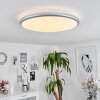 Plafonnier Magdala LED Blanc, 1 lumière