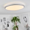 Plafonnier Magdala LED Blanc, 1 lumière